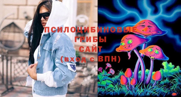 дурь Алзамай