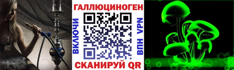 Псилоцибиновые грибы Cubensis  Гаджиево 